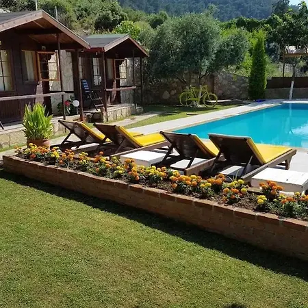 Onur Fethiye モーテル ファラリア