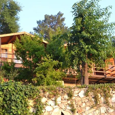 Onur Fethiye * ファラリア