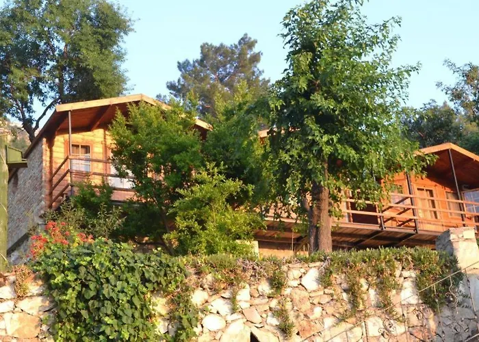 Onur Fethiye * Faralya