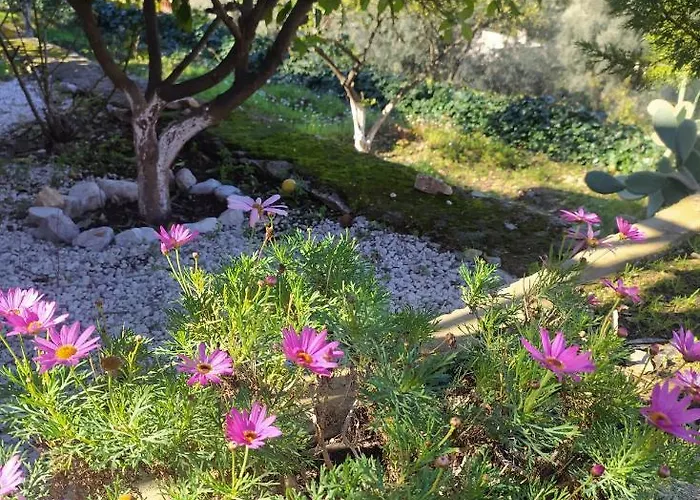 Onur Fethiye Faralya